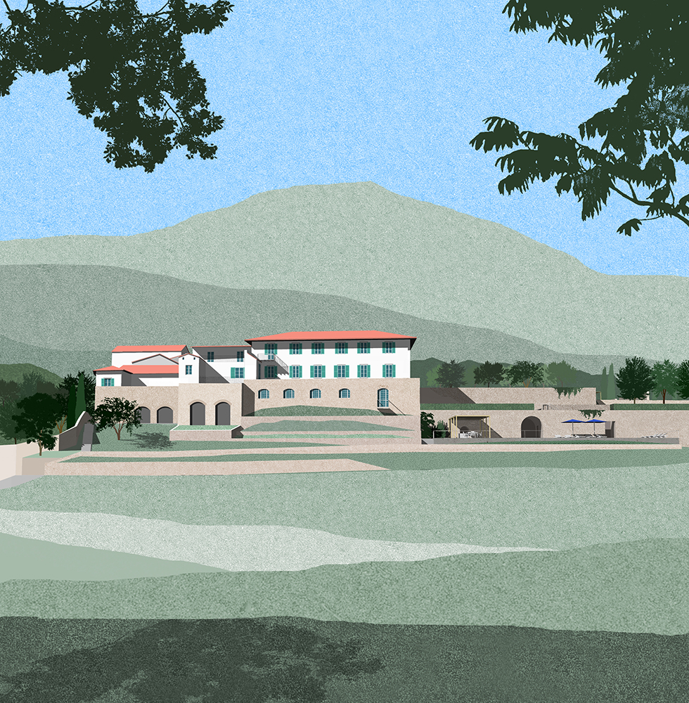 Grecciola vineyard exterior landscape collage