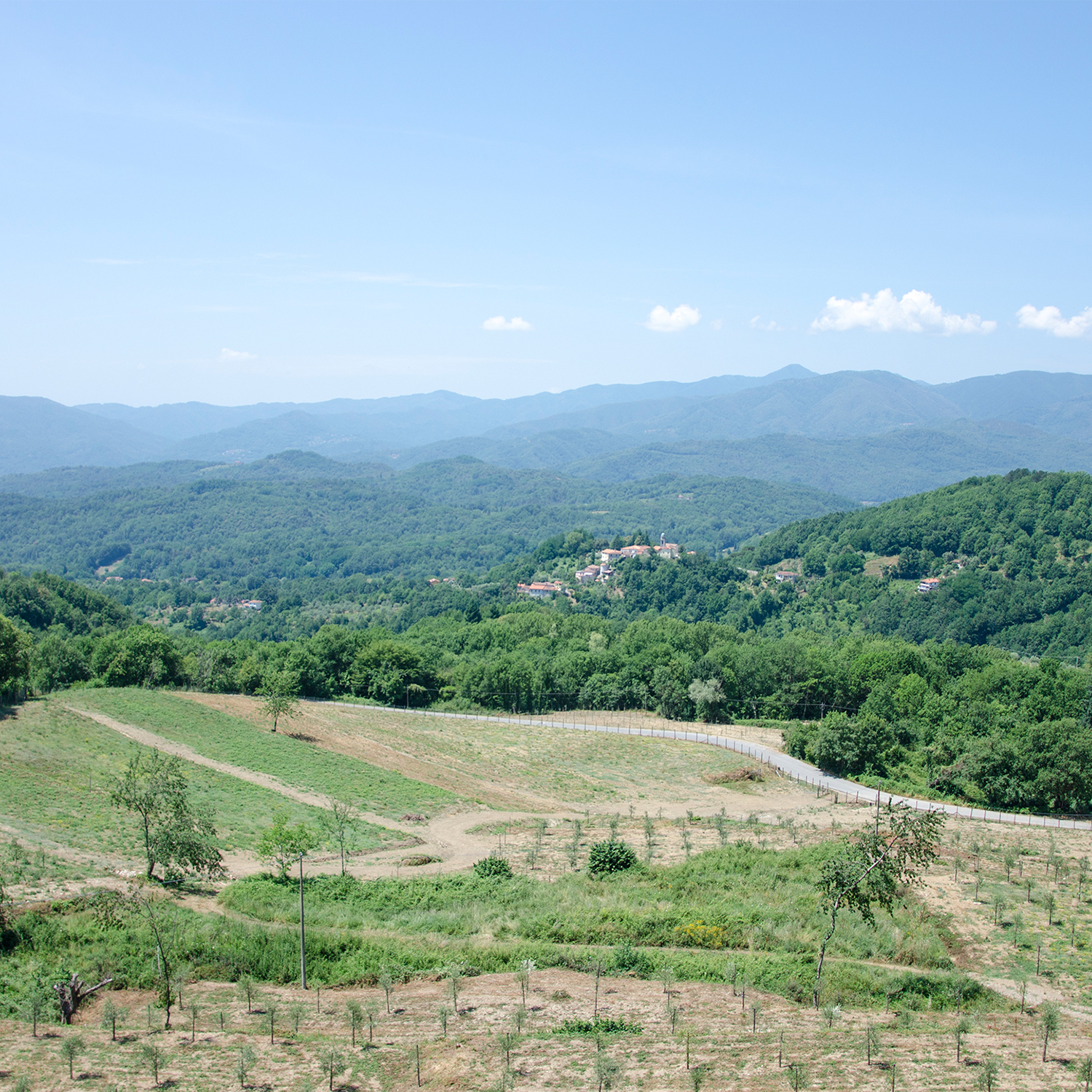 Grecciola landscape