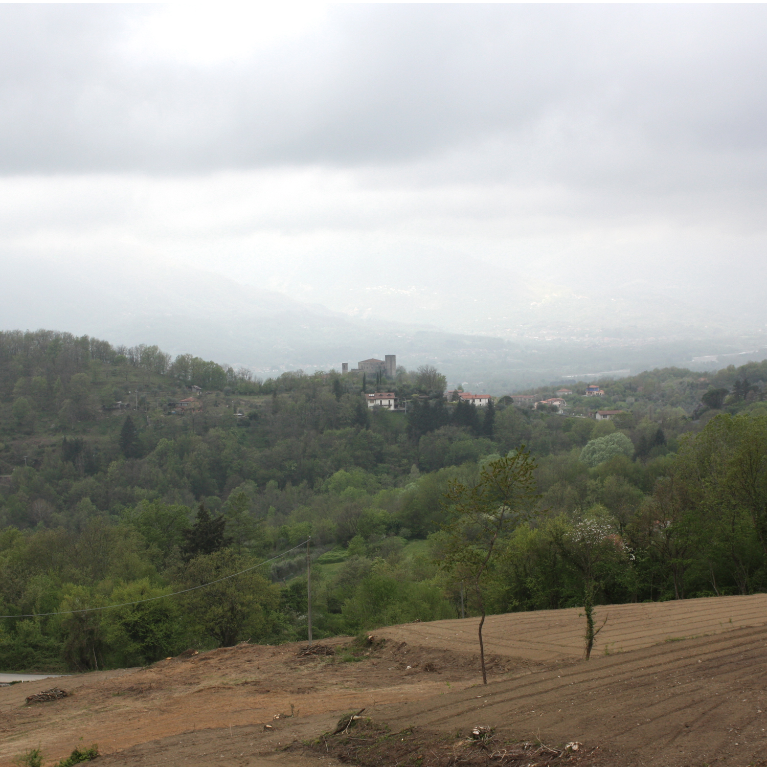 Grecciola landscape